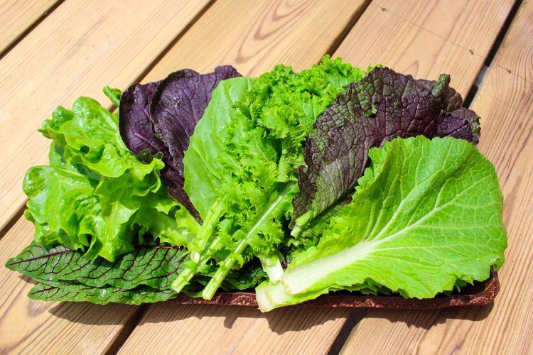 유기농 쌈채소 600g