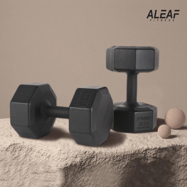 아리프 옥타곤 아령 3kg 4kg 5kg 7kg 8kg 10kg 12kg 15kg