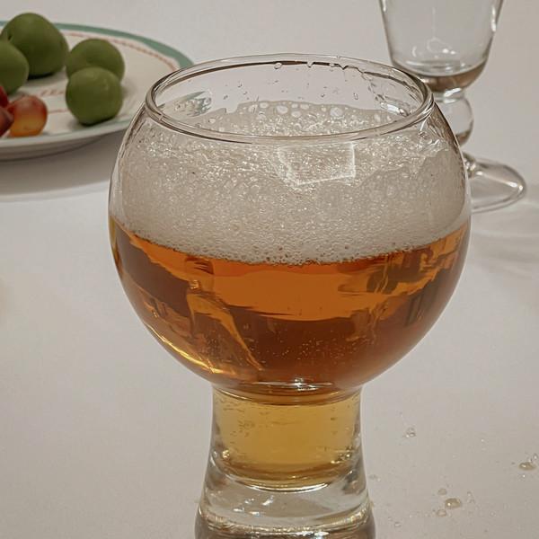 Holly Beer Glass (540ml)