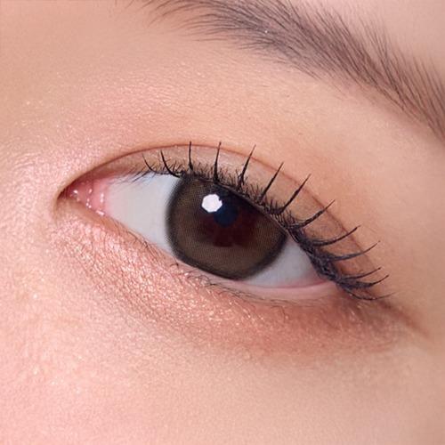 빅러블링 브라운 (1+1)