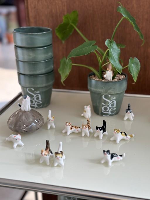 고양이, 강아지 인형