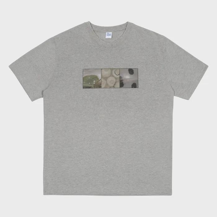 TCM nature T (grey)