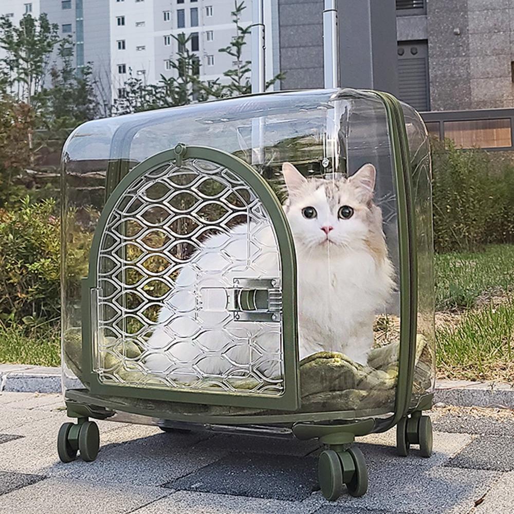 ACE 쏘유 펫캐리어