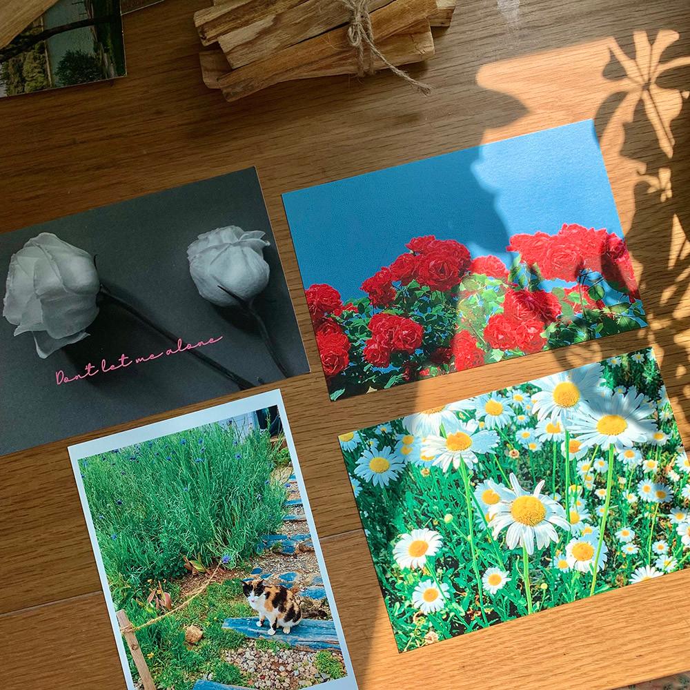 꽃 빈티지엽서 감성사진 인테리어 엽서세트 4종