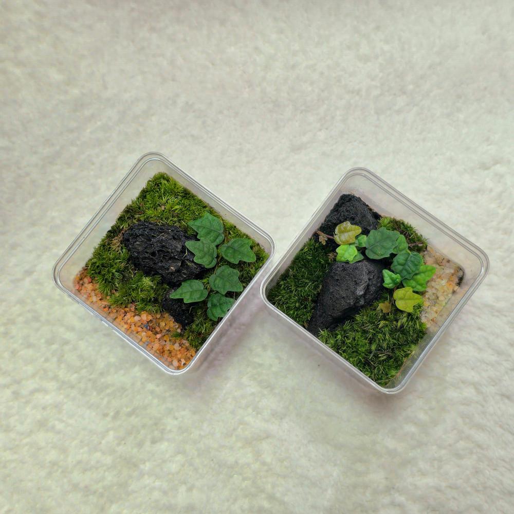 미니 이끼 테라리움 키트 DIY 만들기 세트