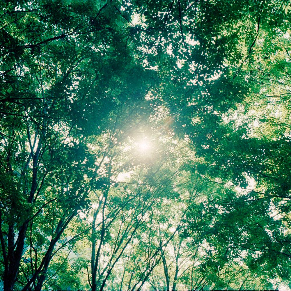 [영화용 필름]  코닥 비전3 500T KODAK VISION3 500T