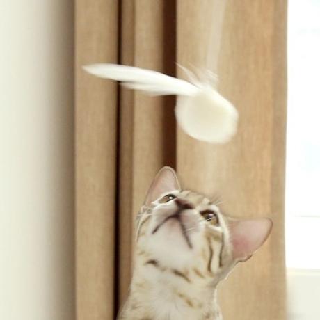 텐바이텐 뿅뿅스니치