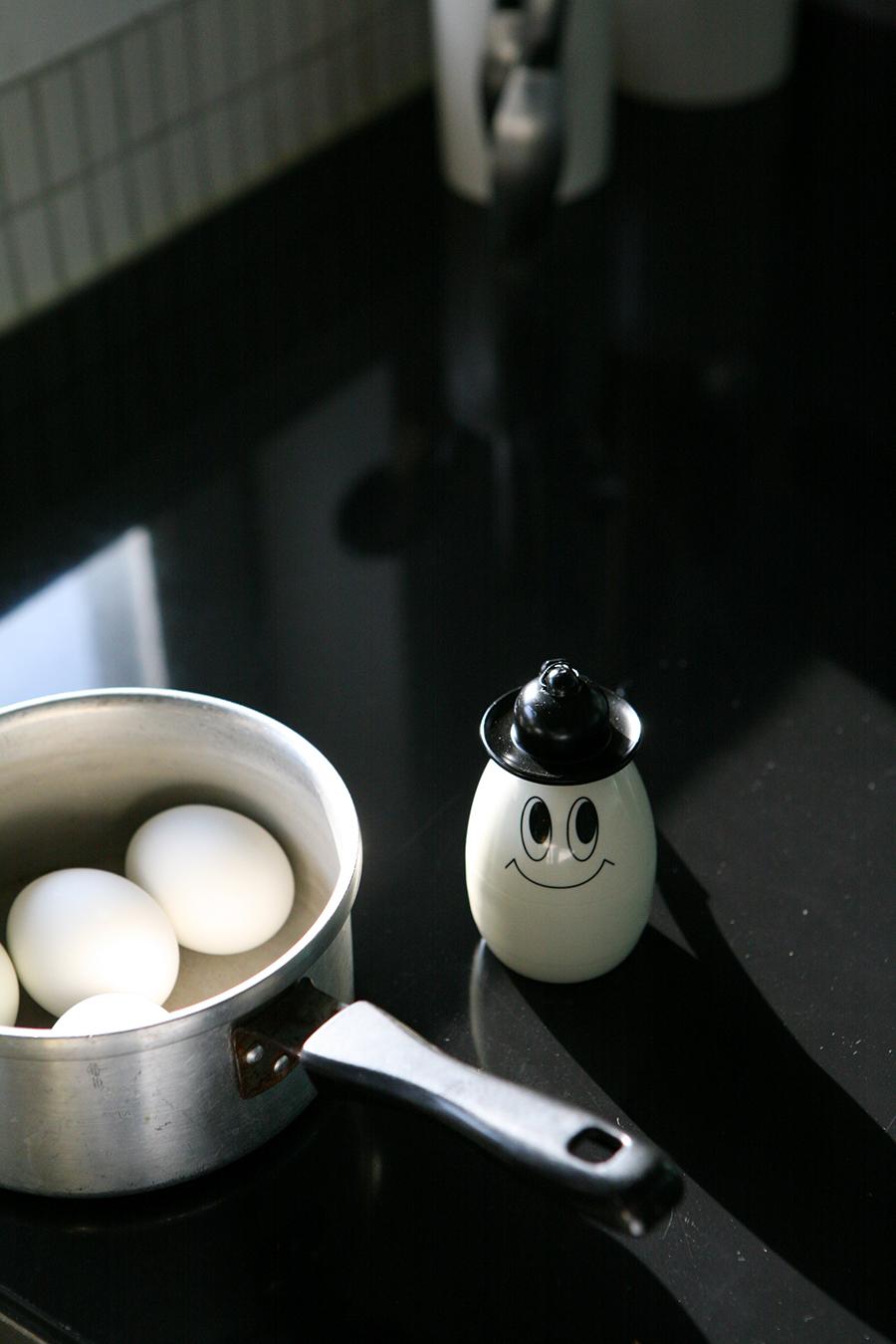 Portable egg case