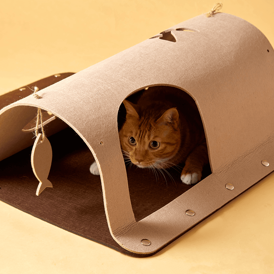 [주말특가]고양이섬 잡아라 숨숨터널