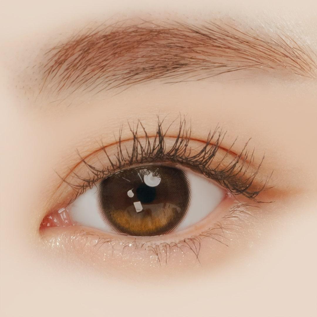 오리아나 엣지 플러스 원데이