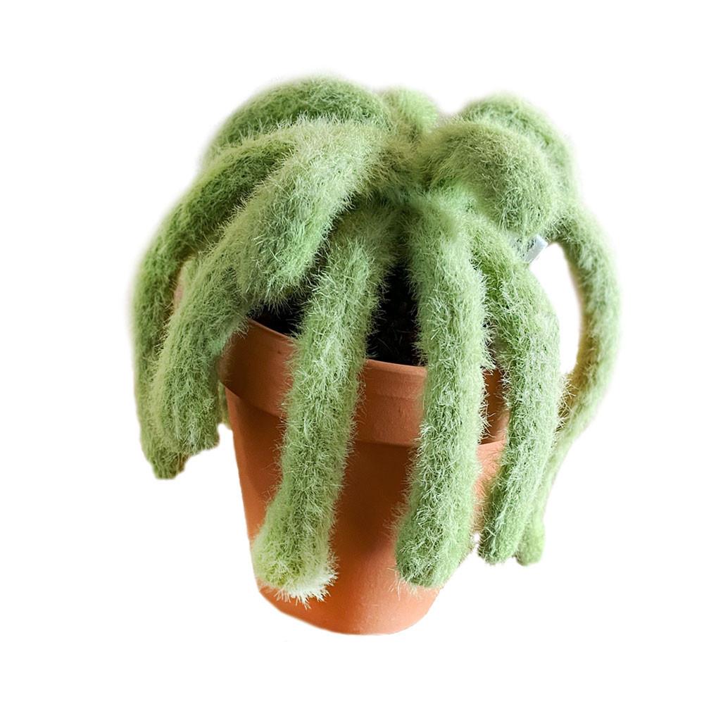 Warm worm! + Pot ( M size )
