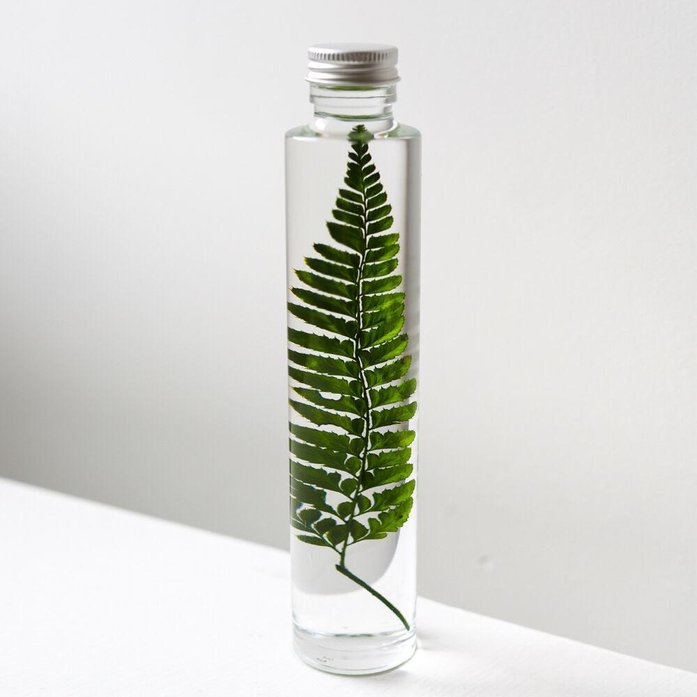 식물표본 200ml_Rumohra