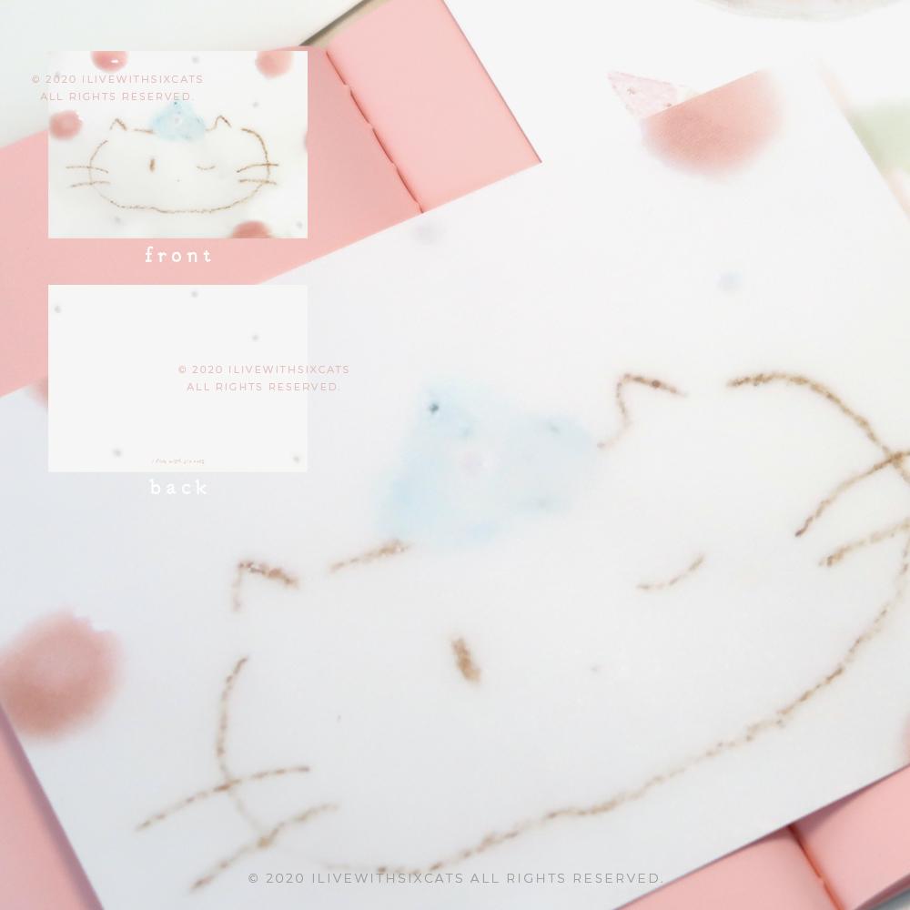 ⁞ 엽서 ⁞ 휘핑 크림 고양이