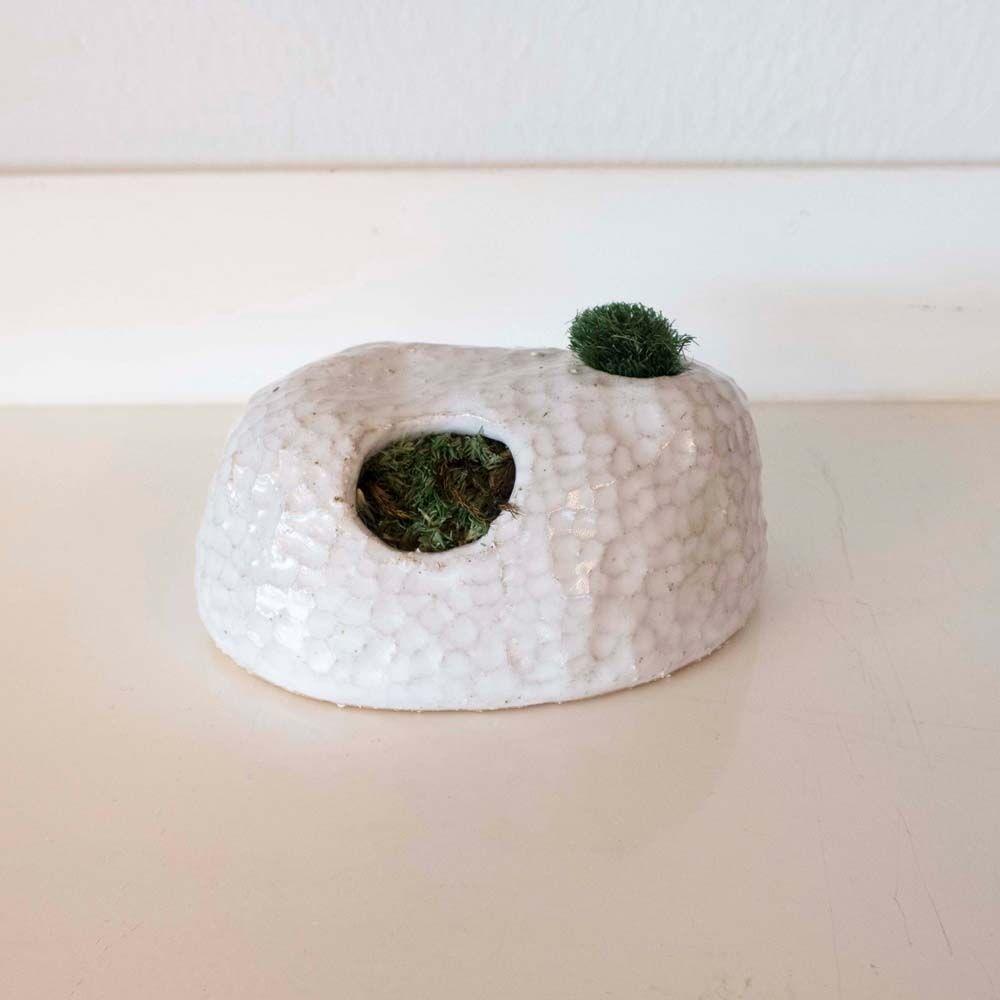 Pirro) Moss Apartment Home_A