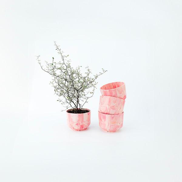 Palette Candy Cane - 팔레트 업사이클링 화분 & 트레이 세트(캔디케인 컬러)