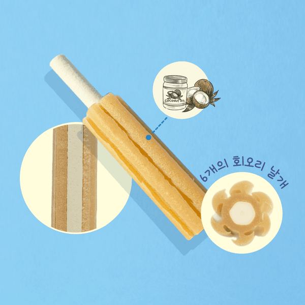 페스티 덴탈 코코넛 츄잉스틱 180g