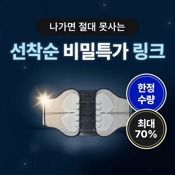 ★최대할인 비밀링크★ 코어 요추벨트 허리 보호대