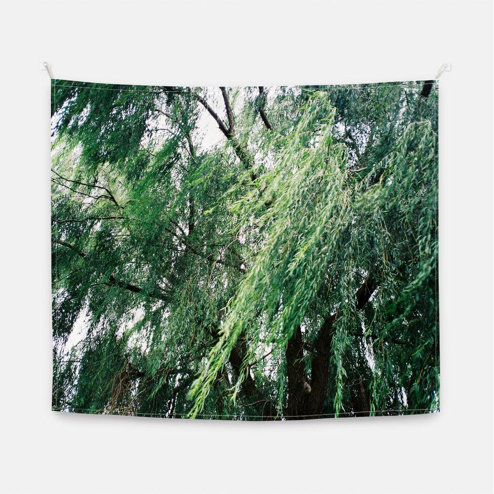 Dancing willow  패브릭 포스터 대형