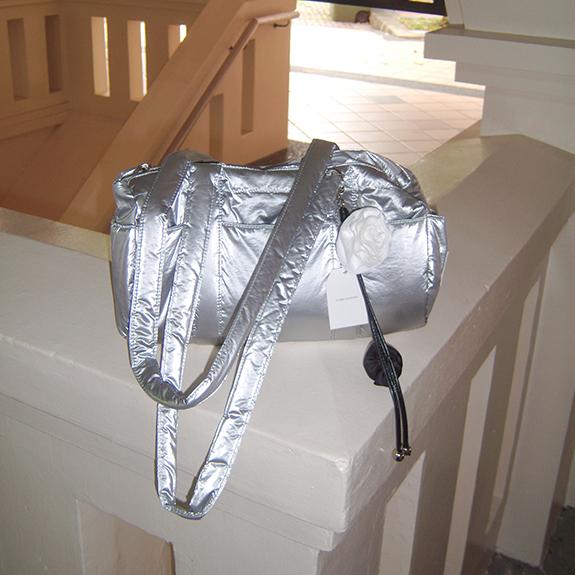 Park Bag_Silver