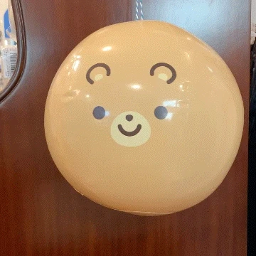 리락쿠마 비치볼 (2종)