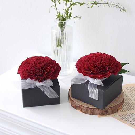 카네이션 오천만원 미니용돈박스