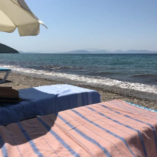 [OTTOMANIA] TURKISH SEA HAMMAM TOWEL ―brown/navy blue