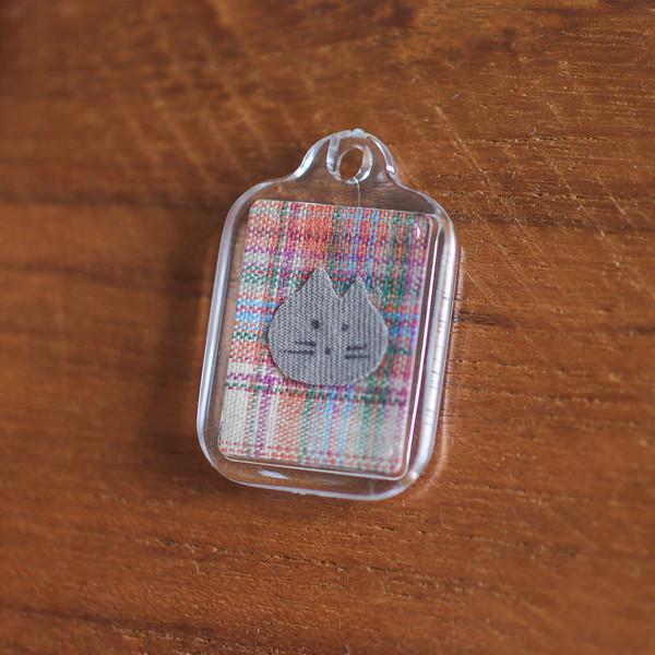 [중] 식혜 고양이