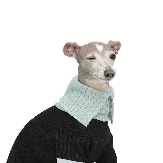 COMFORT RIBBED WEAR [BLACK/MINT]