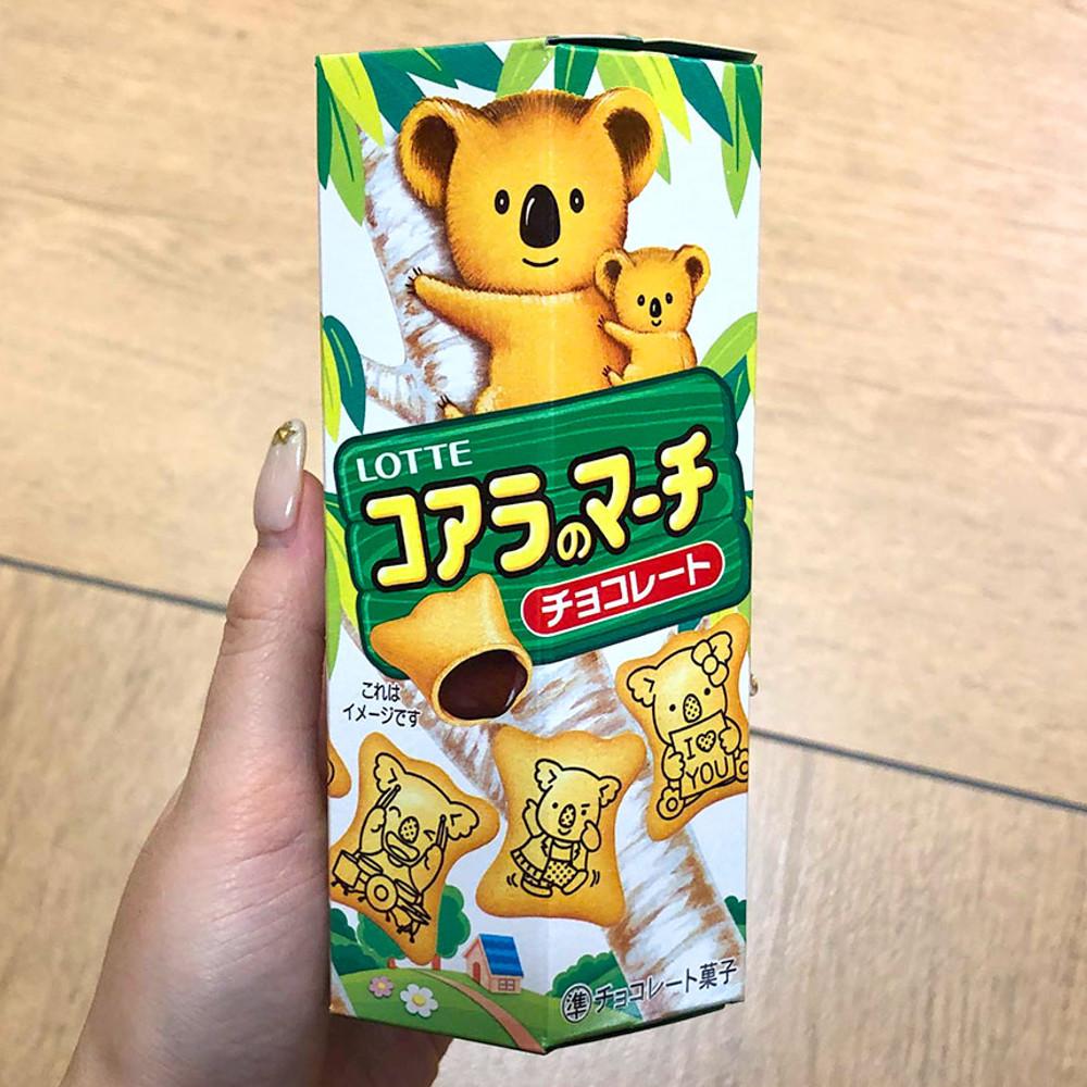 [ 롯데 ] ﻿코알라노 마치 초콜릿 48g / 일본 과자