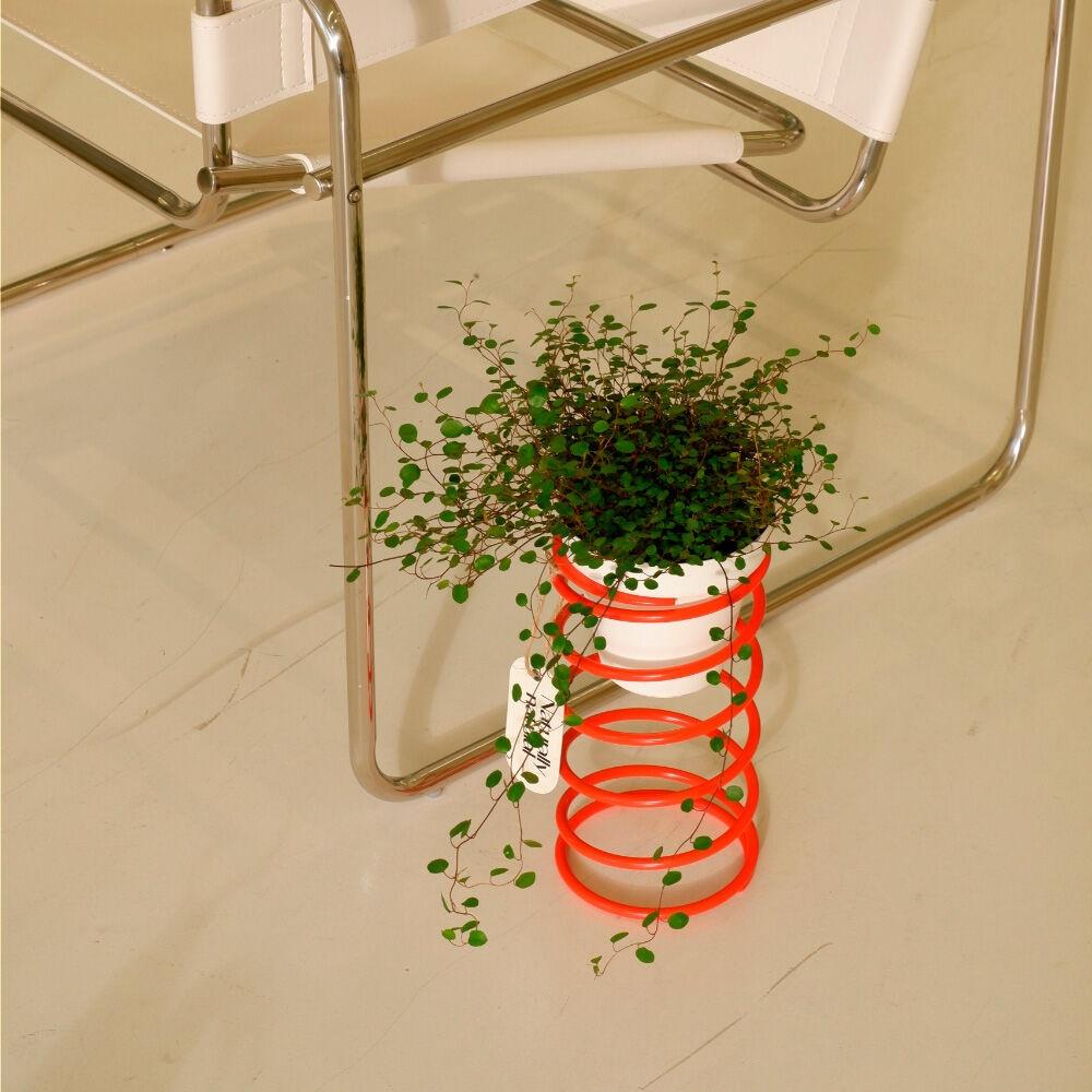 [내추럴리내추럴] Spring spring Small - ORANGE