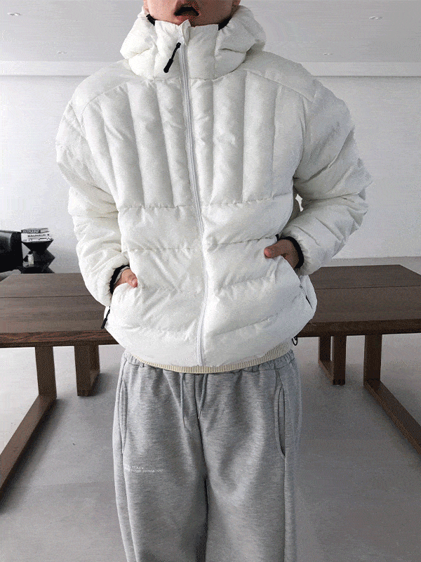Snow Hoodie Puffer