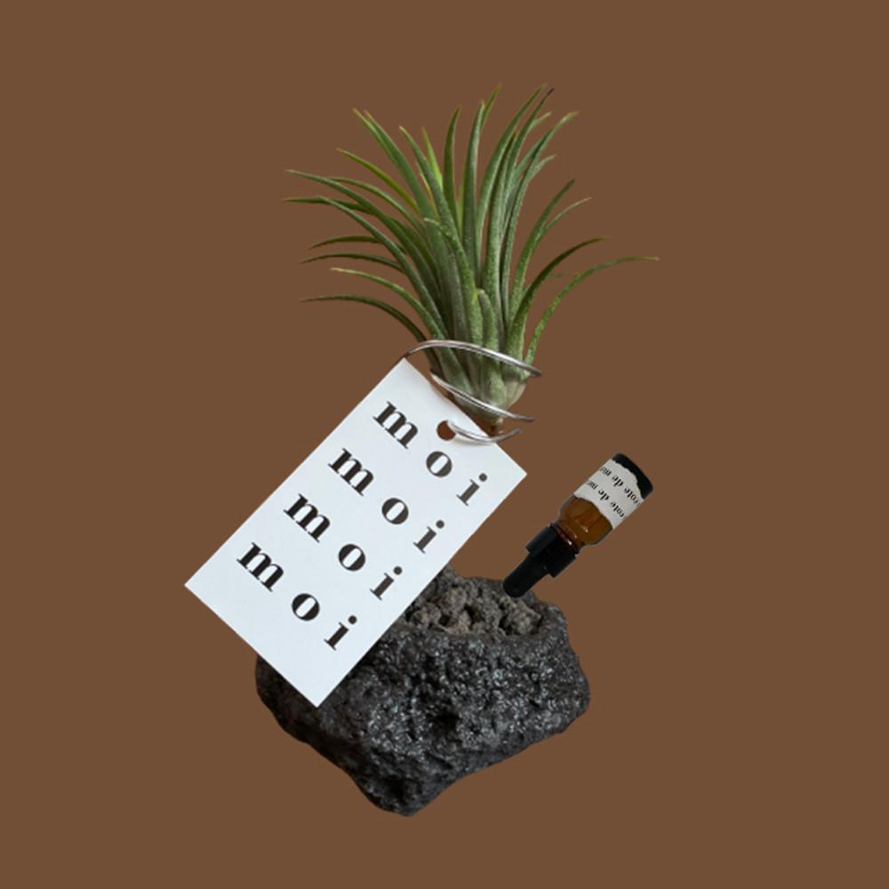 플레르드뽀 딥디크타입, 이오난사 오브제 디퓨저