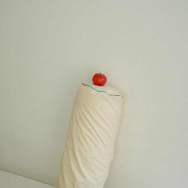 레몬딜 바디필로우 커버Lemon dill body pillow cover