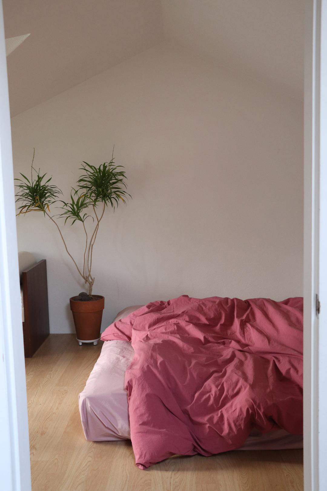 Magenta cotton bedding