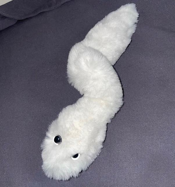 비암이