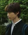 산호