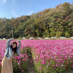 히뚜베리v