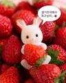 🍓