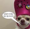 진버거