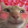 은냥이