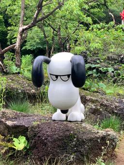희죽