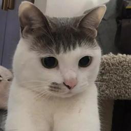 핸