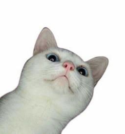 소율