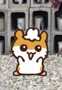 아동보호구역스피드레이서