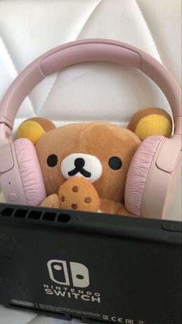 김곰