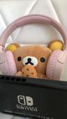 김곰