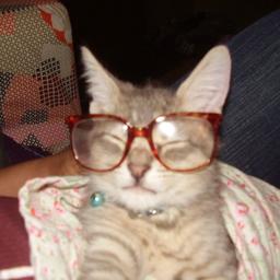 튼튼하늘색햄스터