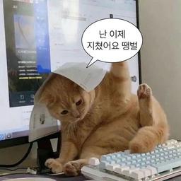 지갑:나다이어트하기싫어