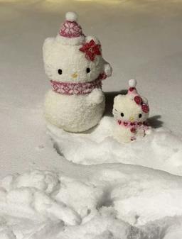 pm