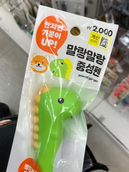 카레라이스파라다이스